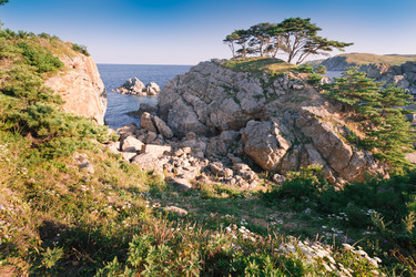 Similar image 470826