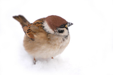 Similar image 470837