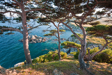 Similar image 470841