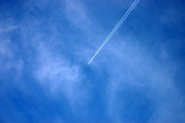 Similar image 470846