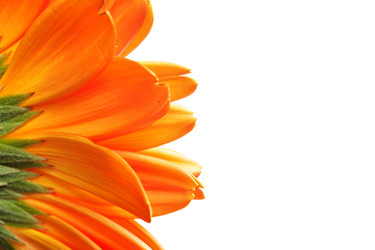 Similar image 470848