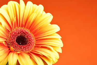 Similar image 470854