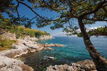 Similar image 470858