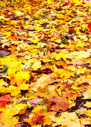 Similar image 470873