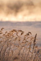 Similar image 470876