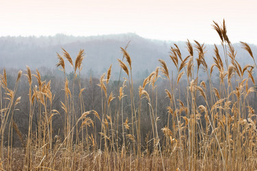 Similar image 470877