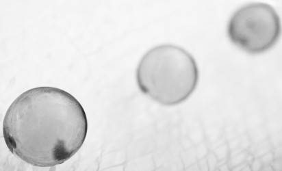 Similar image 470897