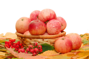 Similar image 471016