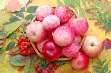 Similar image 471018