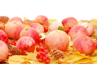 Similar image 471026