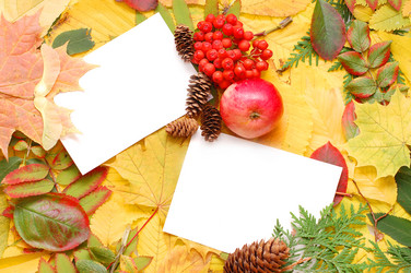 Similar image 471028