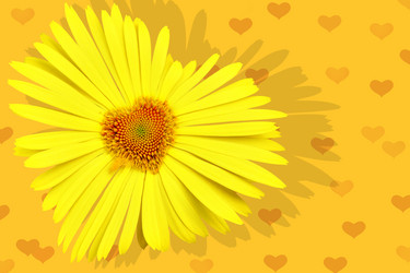 Similar image 471035