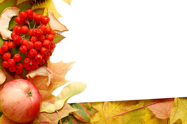 Similar image 471039