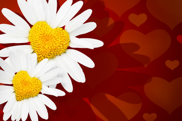 Similar image 471040