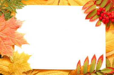 Similar image 471044