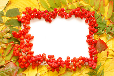 Similar image 471046