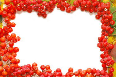 Similar image 471048