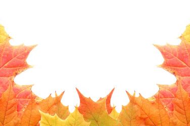 Similar image 471061