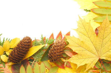 Similar image 471064