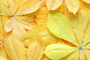 Similar image 471067