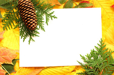 Similar image 471070