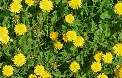 Similar image 471081