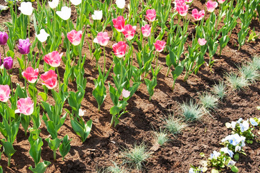 Similar image 471160