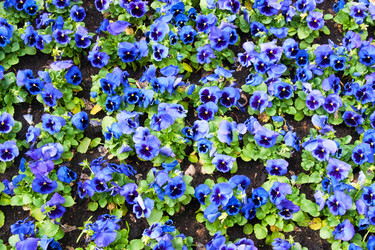 Similar image 471169