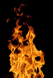 Similar image 471192