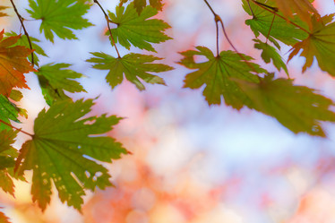 Similar image 471237