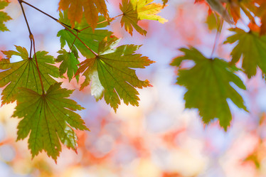 Similar image 471241