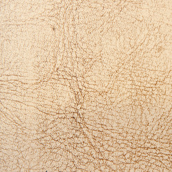 Similar image 471242