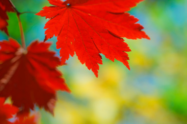 Similar image 471244