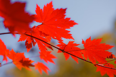 Similar image 471253