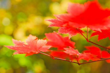 Similar image 471256