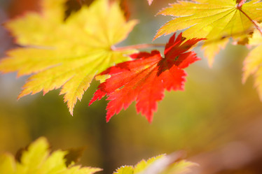 Similar image 471259