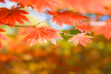 Similar image 471263