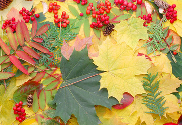 Similar image 471327