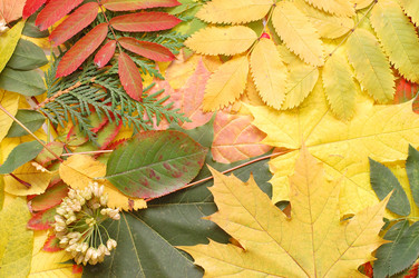 Similar image 471328