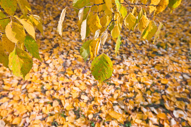 Similar image 471336