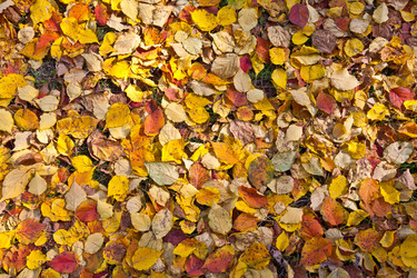 Similar image 471347