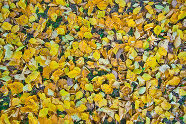 Similar image 471350