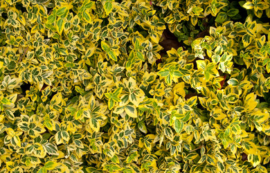 Similar image 471351