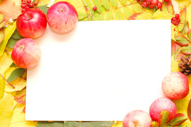 Similar image 471355