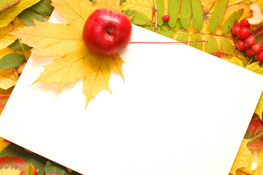 Similar image 471356