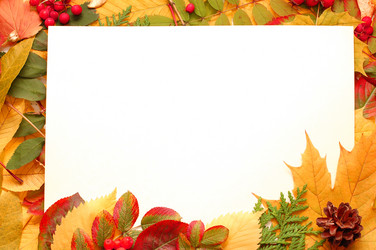 Similar image 471357