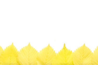 Similar image 471361