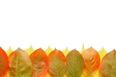 Similar image 471362