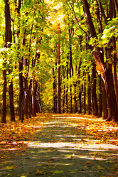 Similar image 471364