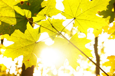 Similar image 471397